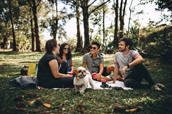 Picnic area